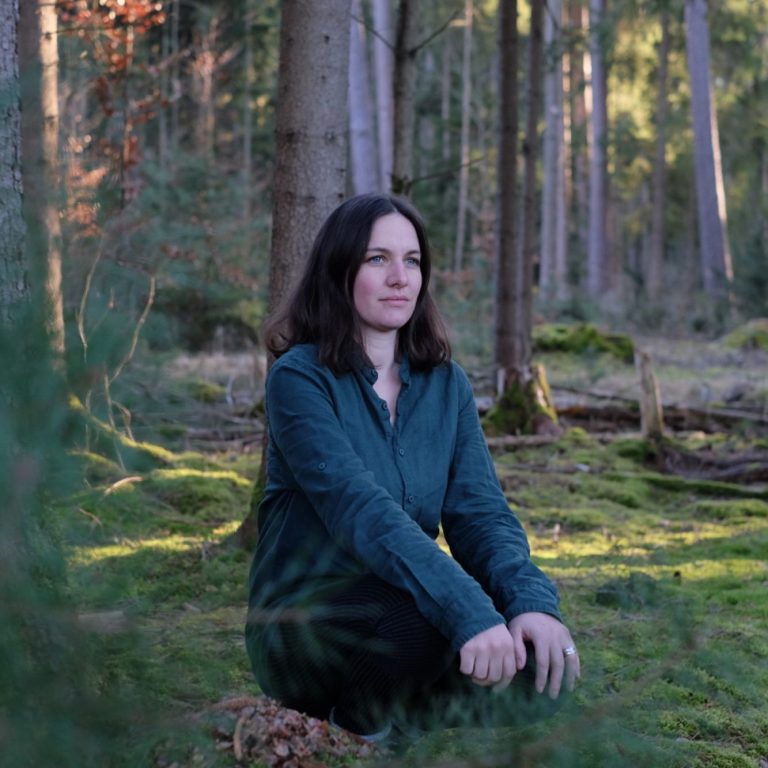 Rostiger Rahmen im Wald hängend