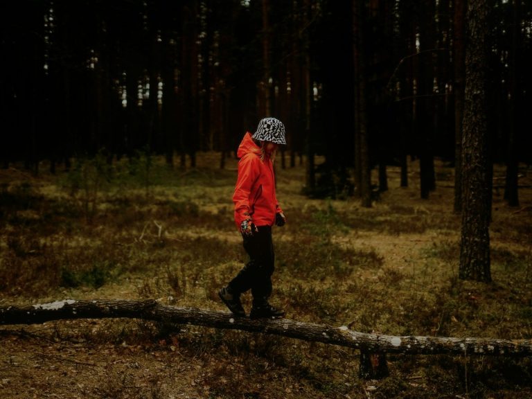 Naturmandala aus Blumen auf Stein